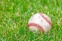 South Daytona Baseball Fall 2021